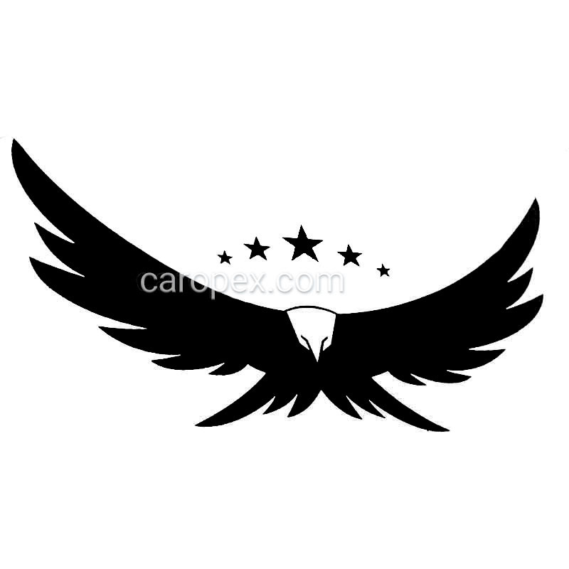 استیکر برچسب شیشه خودرو طرح عقاب eagle