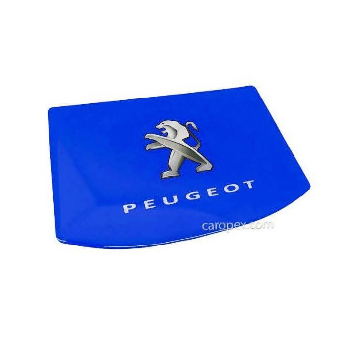 برچسب ژله ای روی مانیتور پژو Peugeot